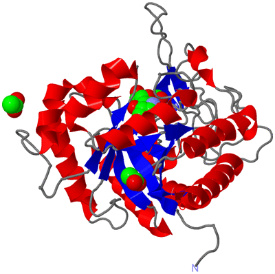 Image Asym./Biol. Unit