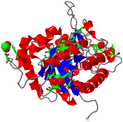 Image Asym./Biol. Unit - sites