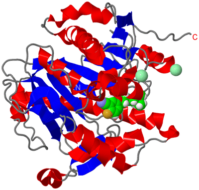 Image Asym./Biol. Unit