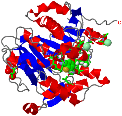 Image Asym./Biol. Unit - sites