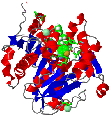 Image Asym./Biol. Unit - sites