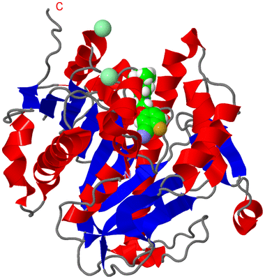 Image Asym./Biol. Unit