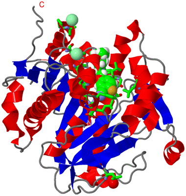 Image Asym./Biol. Unit - sites