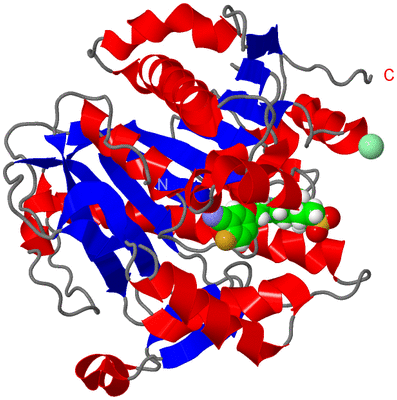 Image Asym./Biol. Unit