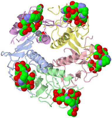 Image Asym./Biol. Unit