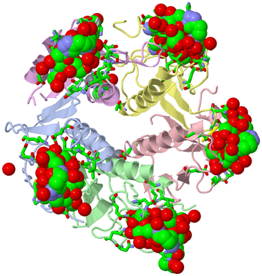 Image Asym./Biol. Unit - sites