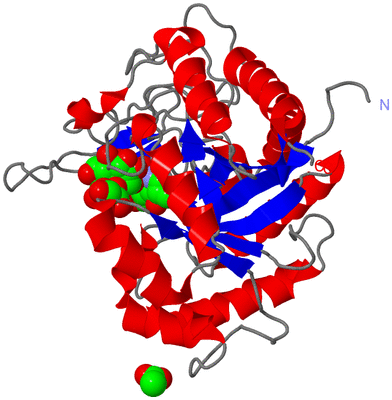 Image Asym./Biol. Unit