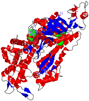 Image Asym./Biol. Unit