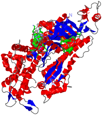 Image Asym./Biol. Unit - sites