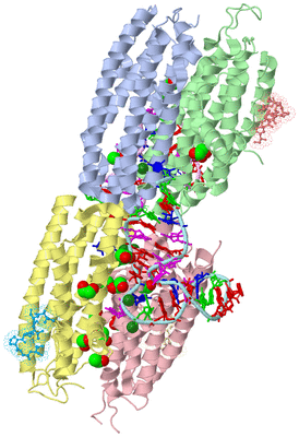 Image Asym./Biol. Unit