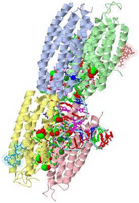 Image Asym./Biol. Unit - sites