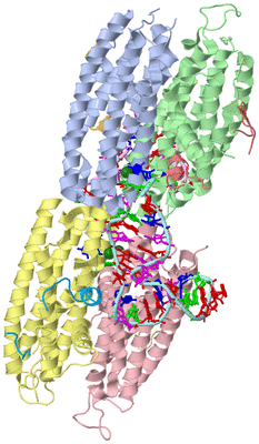 Image Asym./Biol. Unit