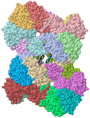 Image Asym./Biol. Unit