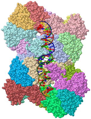 Image Asym./Biol. Unit