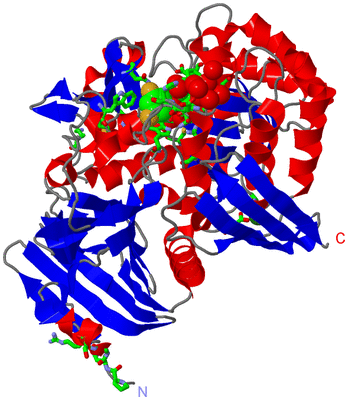 Image Asym./Biol. Unit - sites