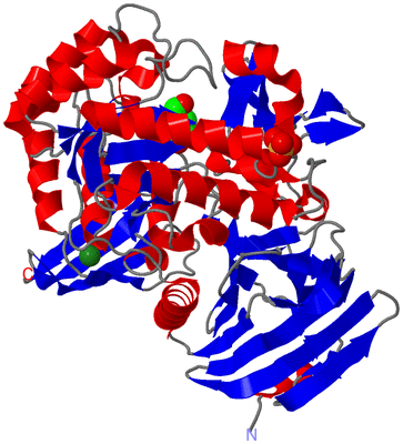 Image Asym./Biol. Unit