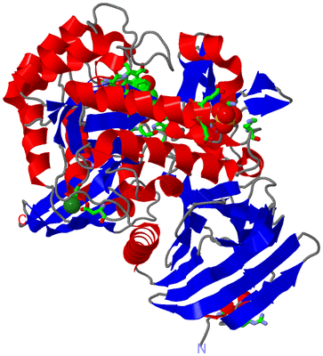 Image Asym./Biol. Unit - sites