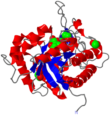 Image Asym./Biol. Unit