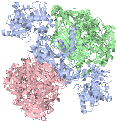 Image Biological Unit 1