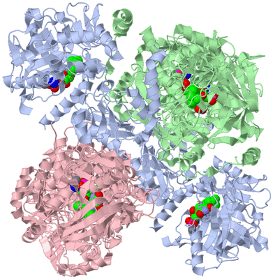 Image Biological Unit 1