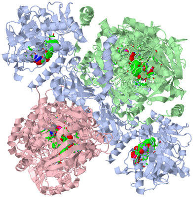 Image Biol. Unit 1 - sites