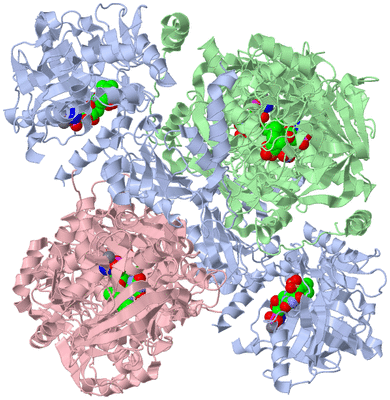 Image Biological Unit 1