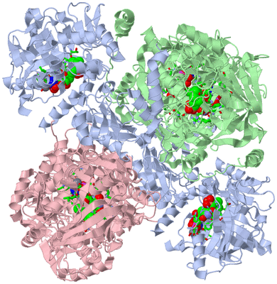 Image Biol. Unit 1 - sites