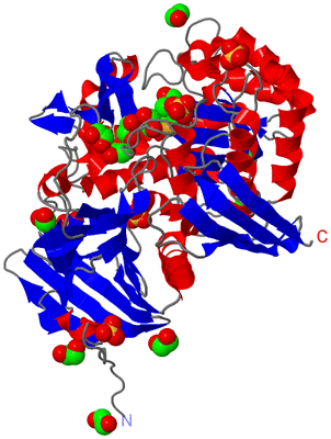 Image Asym./Biol. Unit