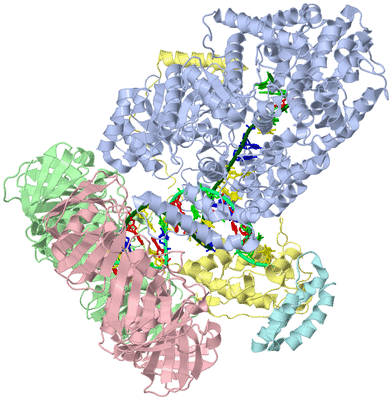 Image Asym./Biol. Unit