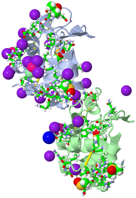 Image Asym./Biol. Unit - sites