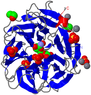 Image Asym./Biol. Unit