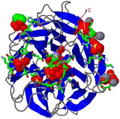 Image Asym./Biol. Unit - sites