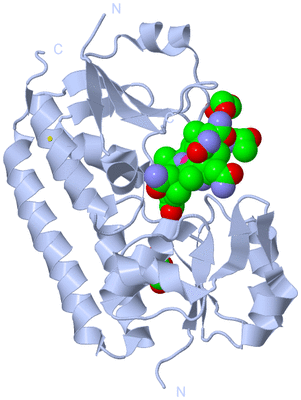 Image Biological Unit 1