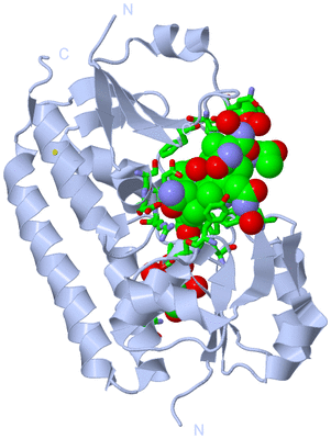 Image Biol. Unit 1 - sites