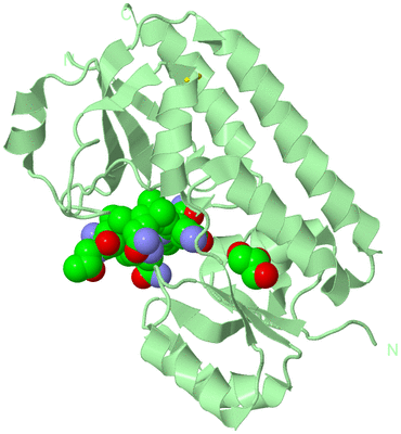 Image Biological Unit 2