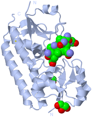 Image Biological Unit 1