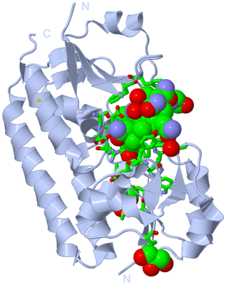 Image Biol. Unit 1 - sites