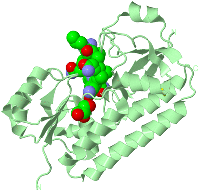 Image Biological Unit 2