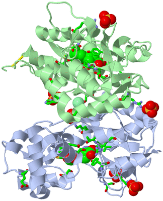 Image Asym./Biol. Unit - sites