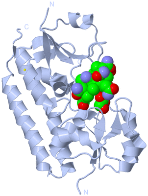 Image Biological Unit 1