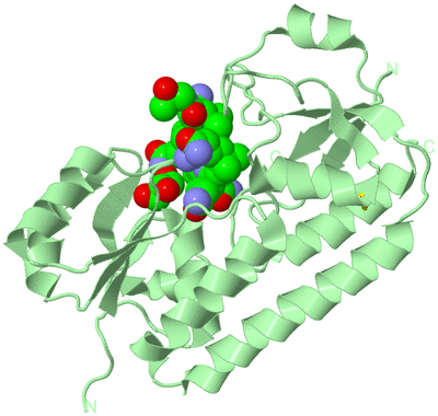 Image Biological Unit 2