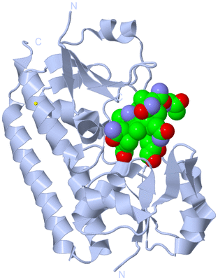 Image Biological Unit 1