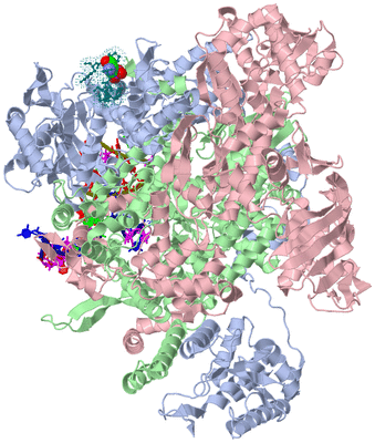 Image Asym./Biol. Unit