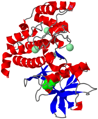 Image Asym./Biol. Unit