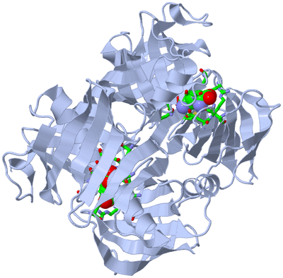 Image Biol. Unit 1 - sites