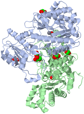 Image Asym./Biol. Unit