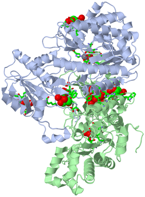 Image Asym./Biol. Unit - sites