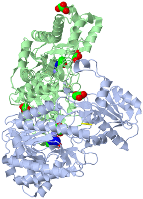 Image Asym./Biol. Unit