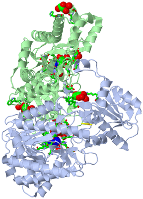 Image Asym./Biol. Unit - sites