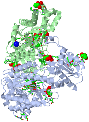 Image Asym./Biol. Unit - sites